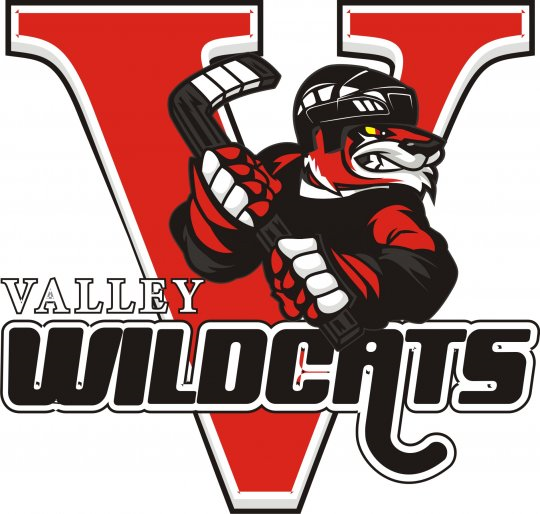 Valley Wildcats 2014 Unused Logo iron on transfers for clothing